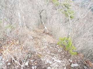 駒岩の登り口へ