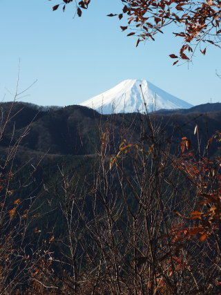 南西に富士山