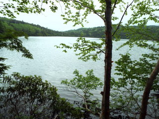 池の東側
