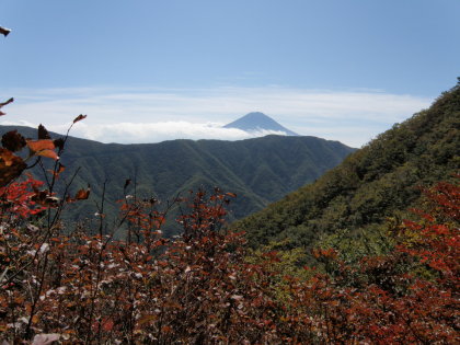 左に富士山