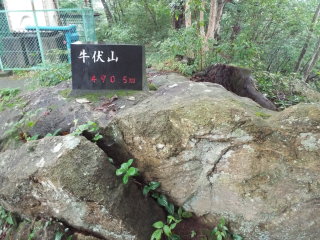 岩の上に山頂標識