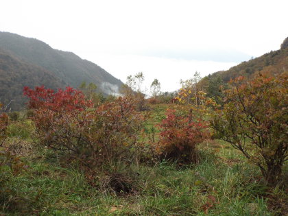 右（北）側に米子山、奈良山
